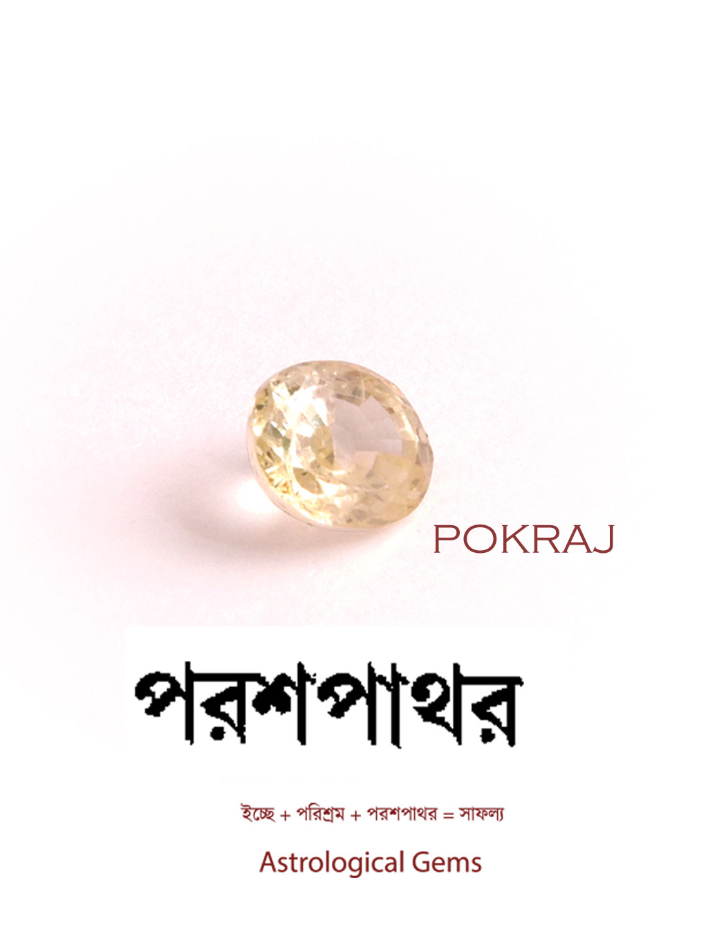Porosh Pathor #8